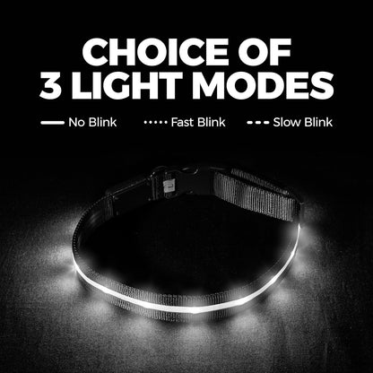 LED Dog Collar - Original USB Rechargeable and Waterproof Design - 1,000 Feet Visibility - Suitable for Small, Medium, and Large Dogs - US Brand