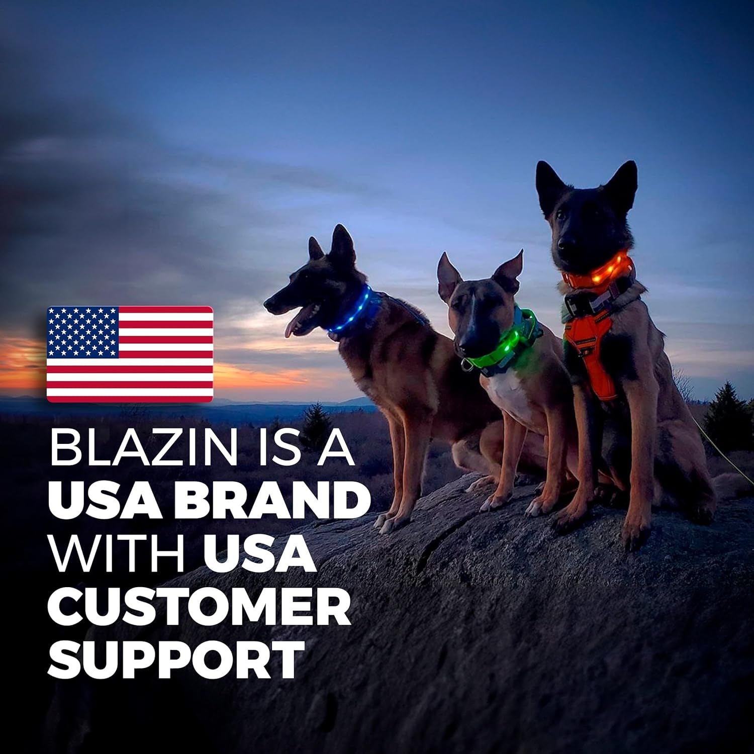 LED Dog Collar - Original USB Rechargeable and Waterproof Design - 1,000 Feet Visibility - Suitable for Small, Medium, and Large Dogs - USA Brand