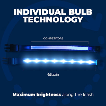 LED Dog Collar - Original USB Rechargeable and Waterproof Design - 1,000 Feet Visibility - Suitable for Small, Medium, and Large Dogs - USA Brand