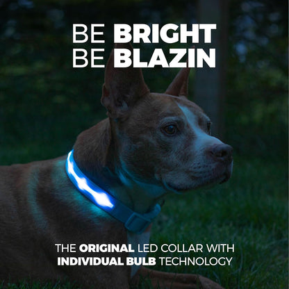 LED Dog Collar - Original USB Rechargeable and Waterproof Design - 1,000 Feet Visibility - Suitable for Small, Medium, and Large Dogs - USA Brand