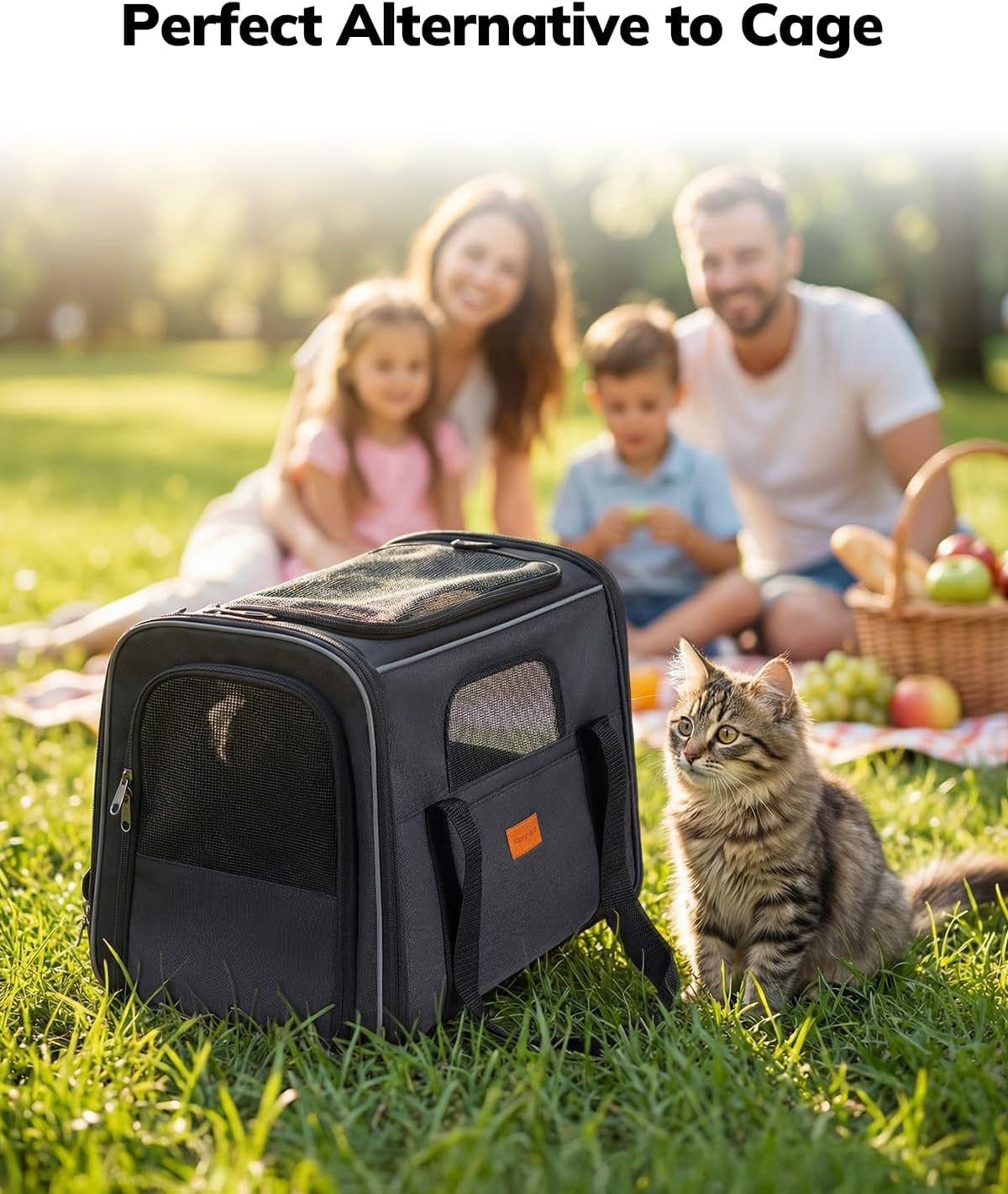 Premium Soft Cat Carrier for Medium to Large Cats (up to 20 lbs) - Features Dual-Sided Cushion, Secure Buckle, Foldable Bowl - Versatile Pet Carrier for Small Dogs (Dark Gray)