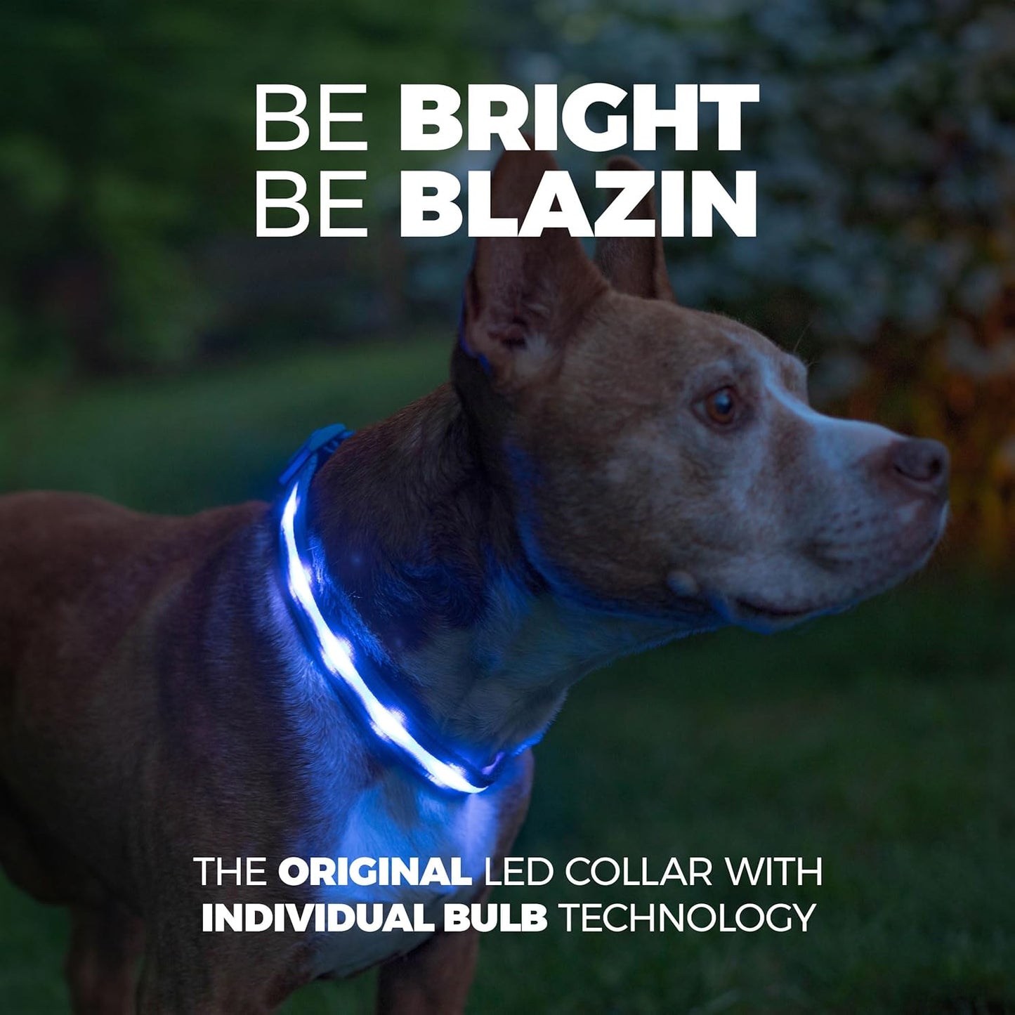 LED Dog Collar - Original USB Rechargeable and Waterproof Design - 1,000 Feet Visibility - Suitable for Small, Medium, and Large Dogs - US Brand